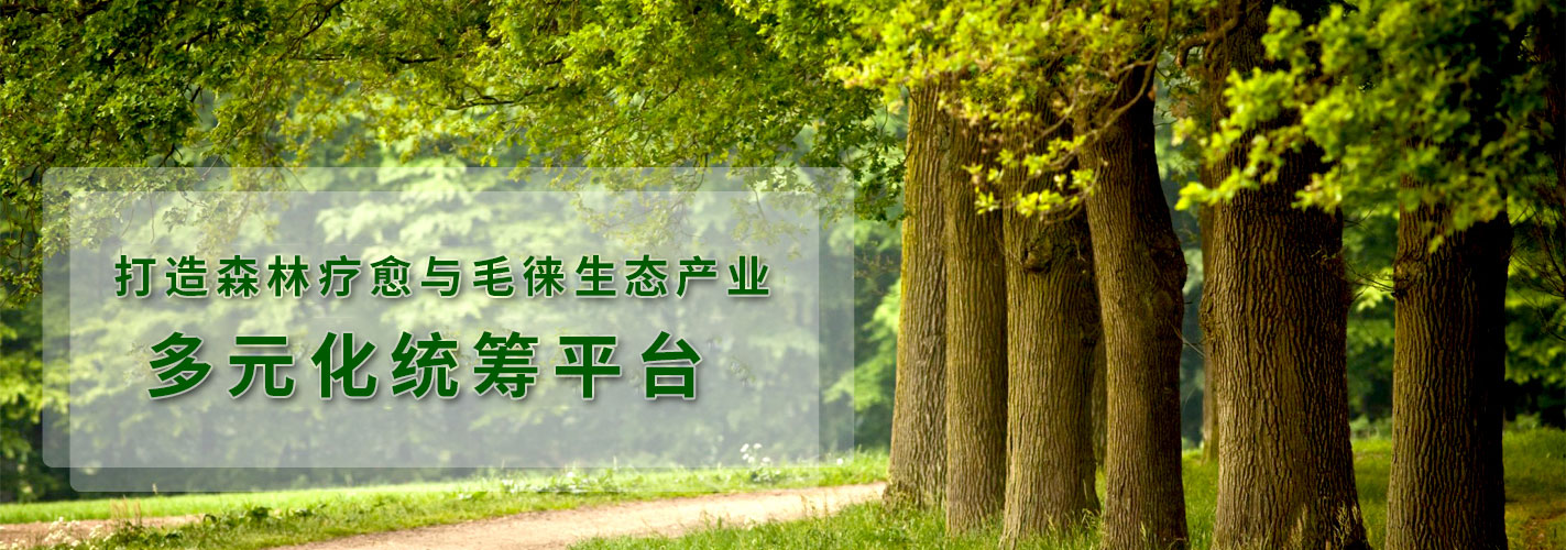 ϣx2024绥WƷ